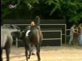 Kinky horse breeding caught on cam by the owners