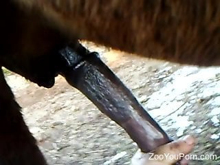 Amateur plays with the horse cock in a kinky cam play