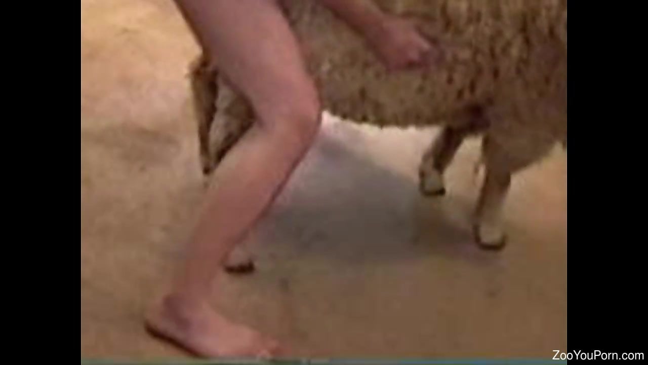 Sheep Fuck Girl - Man fuck sheep Porn