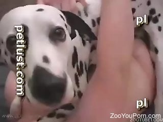 Horny men and their dogs in crazy scenes of zoophilia porn