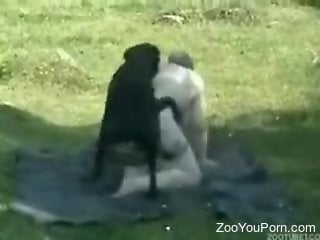 BBW zoophile getting fucked on all fours on a picnic