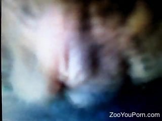 Close-up video featuring hard anal with a beast