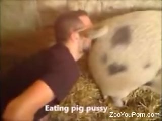 Kinky farmer buries his face in this pig's pussy