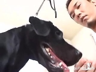 Japanese beauty deepthroats a black dog's red cock