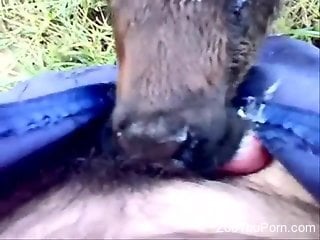 Dude face-fucking a cock-hungry animal in POV