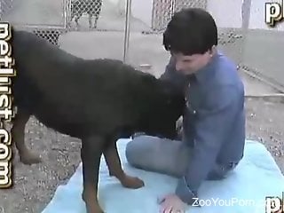 Perky booty zoophile sucks on his dog's hard cock