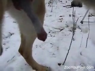 Bearded hunk blowing his dog in the snowy woods