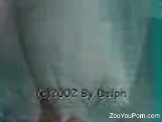 Dolphin fuck hole getting fingered by a horny guy
