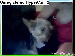 Camgirl's pussy getting licked by a playful dog