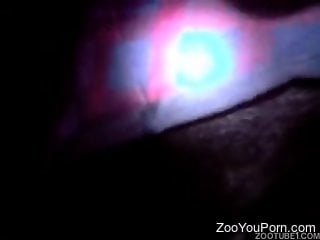 Midnight amateur zoophilia for a horny man with a big dick