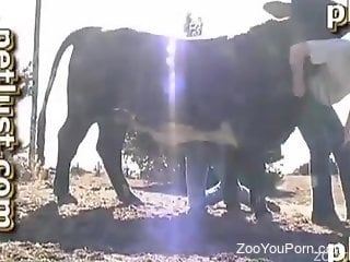 Frottage fuck movie featuring a very sexy bull