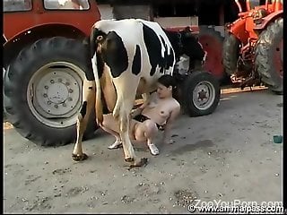 Brunette fucks a cow's cavernous pussy on camera