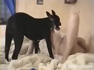 Nasty round of MILF bestiality fucking on a bed
