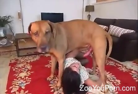 Zooyouporn - Pantyhose-wearing chick enjoying hard oral with a mutt