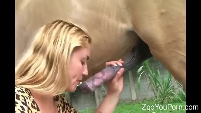 Zooyouporn - Bitches play with the horse's giant dick in exclusive modes