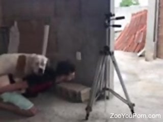 Dude allows dog to probe his little butthole too