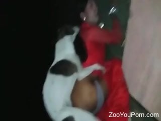 Hot bitch dressed in red dicked by a sexy dog