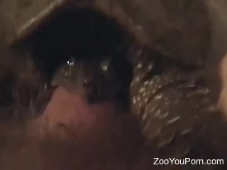 Turtle's oral power is explored in POV fuck movie