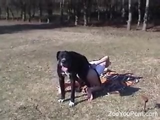 Shaved whore grabs dog by the cock and gets fucked