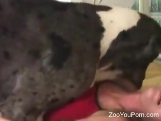 Sexy blonde with fine ass lands entire dog dick in the wet pussy