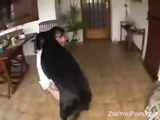Mature chokes with the dog dick during zoophilia blowjob