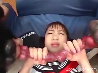 Sexy Asian babe tries two dog dicks in loud cam perversions