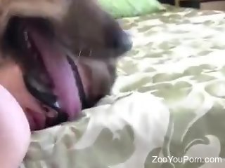 Sexy blonde enjoys home intimacy with her dog in hot positions
