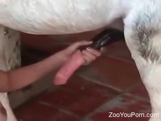 Blonde whore throats the horse's wet dick in loud manners