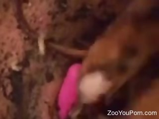 Nude woman masturbates by putting worms in her dirty muff