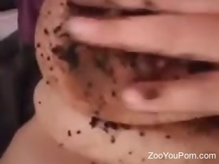 Nude woman masturbates by putting worms in her dirty muff