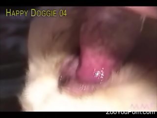 Aroused men in a spicy compilation of rough dog porn