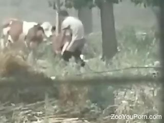 Man fucks animals out in the fields and he gets filmed in secret